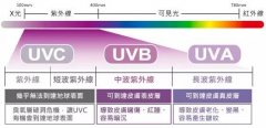 本周末高溫預警！我們今天聊聊紫外線